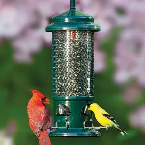 Brome Squirrel Buster Standard