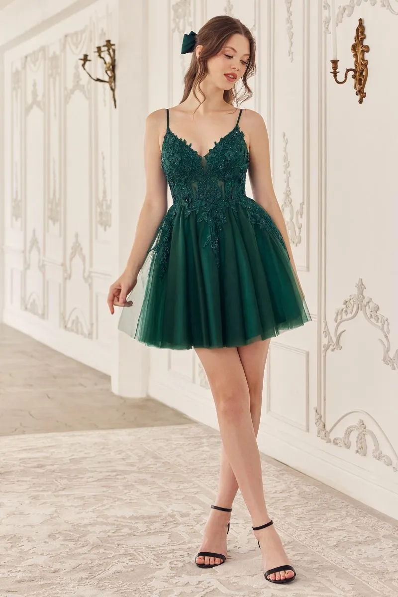 Lace A-Line Tulle Short Dress SF047