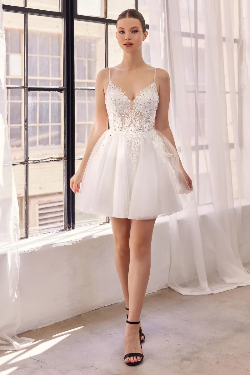 Lace A-Line Tulle Short Dress SF047