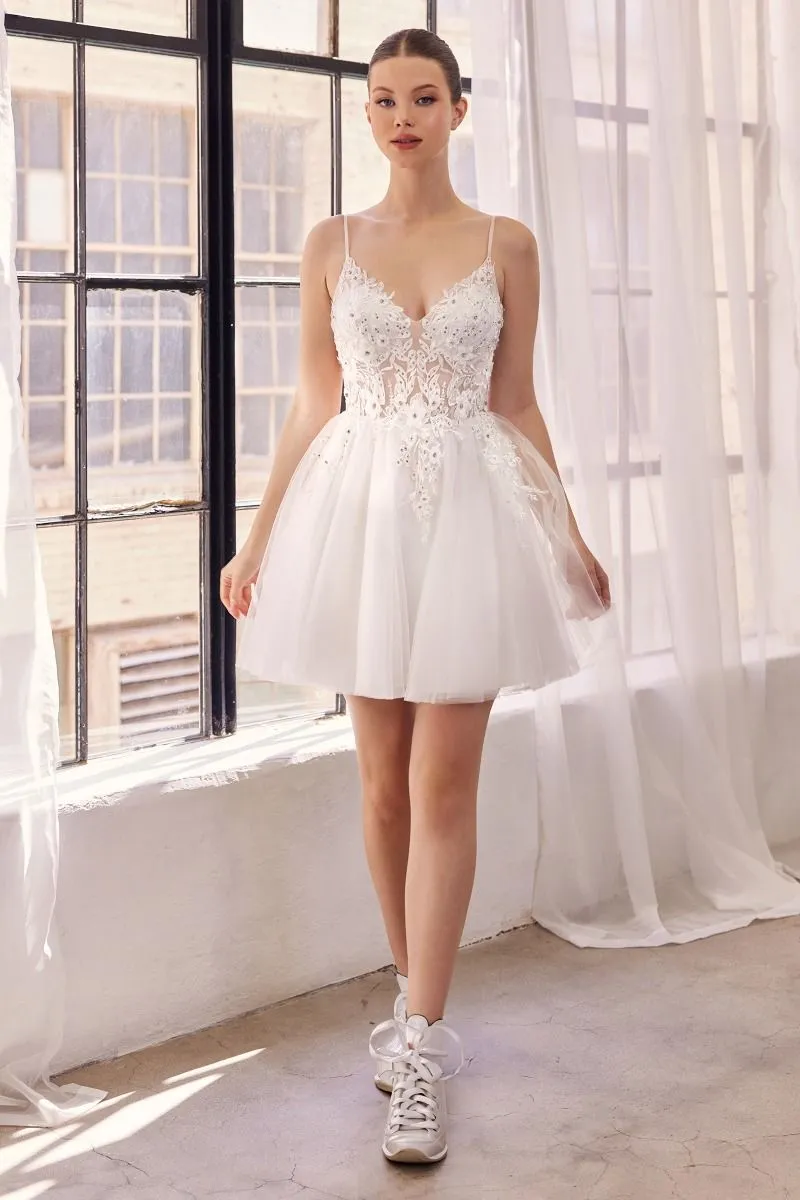Lace A-Line Tulle Short Dress SF047